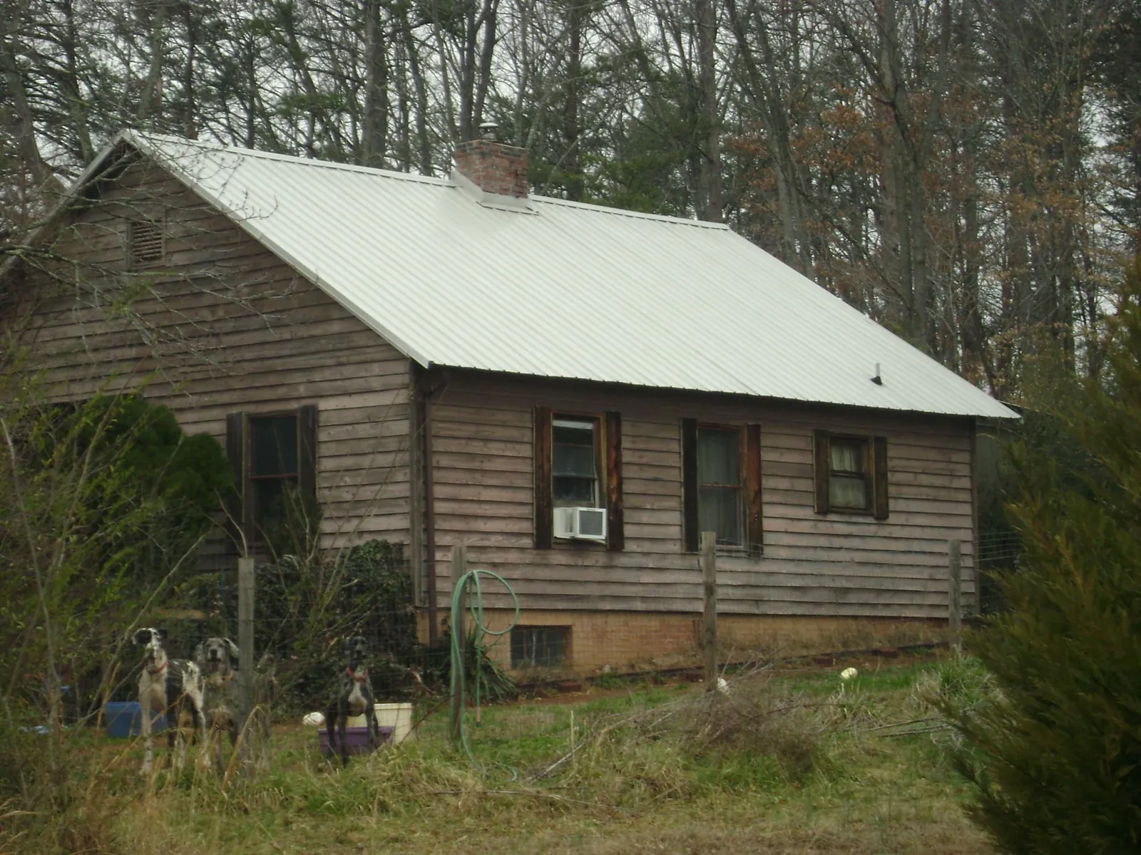White metal roof on an old wood sided farmhouse, from a Asphalt Shingle Roof Repair job in Vale